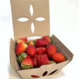 prácticos fruteros