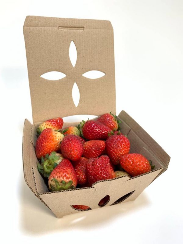 prácticos fruteros