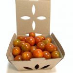 Prácticos fruteros