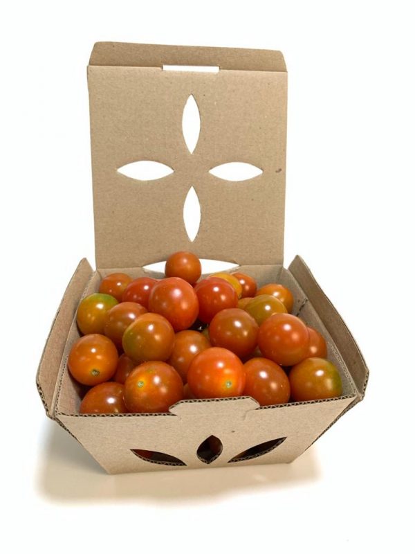 Prácticos fruteros